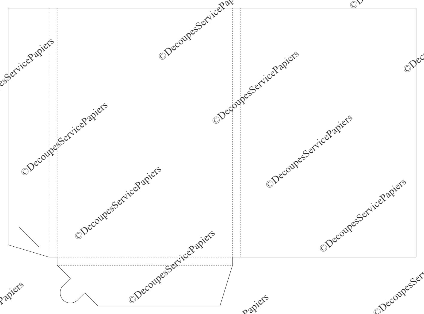 CHEMISE F 215 x 305 R10 O 500 x 365.jpeg